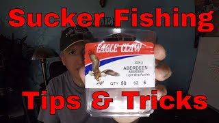 Early Spring Sucker Fishing Tips amp Tricks [upl. by Kursh]