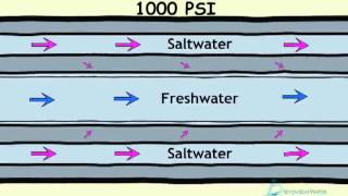 How Desalination Works [upl. by Karly]