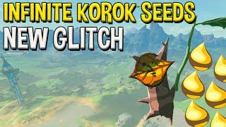 NEW Infinite Korok Seeds Glitch in Breath of The Wild Updated 2019 Tutorial [upl. by Suiraj]