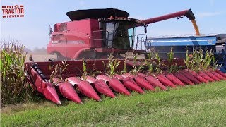 Big COMBINES Harvesting [upl. by Benni]