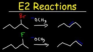 E2 Reaction Mechanism  Hoffman Elimination vs Zaitsevs Rule [upl. by Baily]