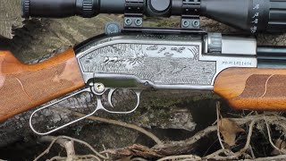 REVIEW Sam Yang Ind  Sumatra 2500 Air Rifle [upl. by Baten]