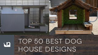 Top 50 Best Dog House Designs [upl. by Regni]