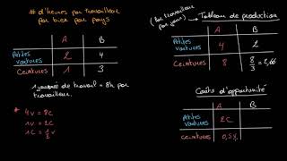 Déterminer lavantage comparatif par lanalyse des ressources [upl. by Ecirtnas715]