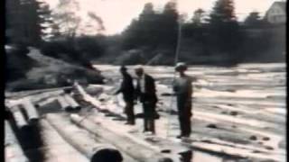 From stump to ship A 1930 logging film [upl. by Oinota]