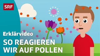 Heuschnupfen  Pollenallergie – einfach erklärt  Kindervideos  SRF Kids [upl. by Quenna614]