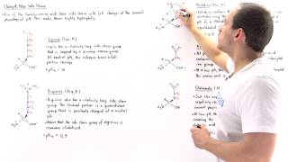 Basic and Acidic Amino Acids [upl. by Liag]