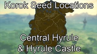 Breath of the Wild Korok Seed Guide  Central Hyrule amp Hyrule Castle [upl. by Enorahs593]