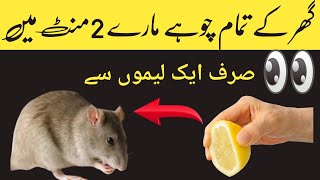 Ghar sy chuhe bhagany ka asan Tarika  easy home Tips and tricks  how to get rat from house [upl. by Cardew]