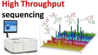 High throughput sequencing [upl. by Nylirahs]