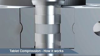 Tablet Compression  How it works animation [upl. by Ilsa]