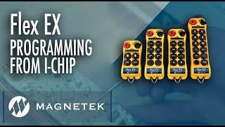 How to Program Magneteks Flex EX Series Transmitter from an ICHIP Programmer [upl. by Ysus]