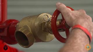 Fire Suppression System Training Part 2 Valves [upl. by Martie956]