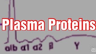 Plasma Proteins Biochemistry Albumin Globulins  Fibrinogen [upl. by Latihs]