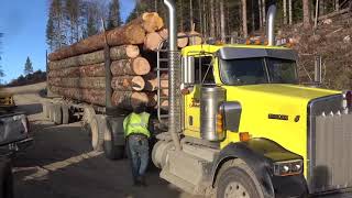 A Nice Day For A Log Truck Ride [upl. by Riley]