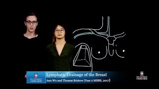 Normal Lymphatic Anatomy and Flow [upl. by Ardys]