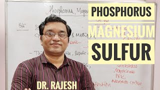 2 Phosphorus Magnesium and Sulfur [upl. by Waterer71]