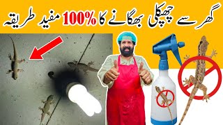 Ghar Se Chipkali Bhagane Ka Tarika  Get Rid Of Lizards At Home  Tips And Tricks  BaBa Food RRC [upl. by Nesaj936]