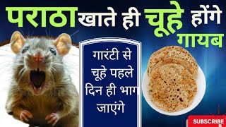 बिना दवाई रोटी से चूहे भगाने का तरीका। Chuhe Bhagane Ka Ramban Upay Get Rid of Rats ratskiller [upl. by Chiquita]