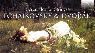 Tchaikovsky amp Dvořák Serenades for Strings [upl. by Beedon]