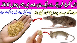 Chuhe Bhagane Ka Asaan Tarika 😱 Kitchen Tips  Get Rid Of Mouse  Homemade Quick Rat Killer  Hacks [upl. by Camilia463]