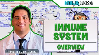 Immunology  Immune System Overview [upl. by Pauly]