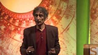 Gabor Maté When The Body Says No MindBody Unity and the Stress Disease Connection [upl. by Selrahcnhoj134]