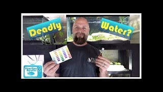 The Silent Killer  Nitrates in Your Fish Tank  What to Do About Them [upl. by Palmer]