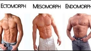 Ectomorph  Endomorph  Mesomorph  The 3 Different Body Types [upl. by Aoh174]