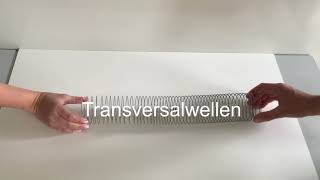 Wellentypen Transversal und Longitudinalwellen [upl. by Chloris]