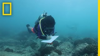 Saving Ocean Biodiversity Coral Restoration  Explorers in the Field [upl. by Alled]