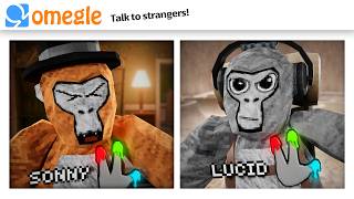 OMEGLE Trolling in Gorilla Tag [upl. by Rivi]