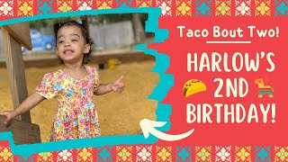 Harlow’s 2nd Birthday Fiesta 🪅 🌮 [upl. by Cheshire]