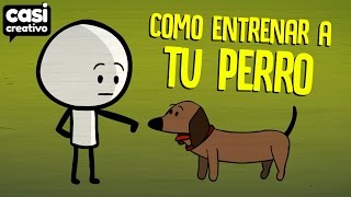 Cómo entrenar a tu perro  Casi Creativo [upl. by Nevins]