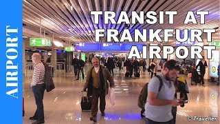 TRANSIT WALK AT FRANKFURT Airport FRA Terminal 1  Connection Flight Transfer Arriving amp Departing [upl. by Musihc211]