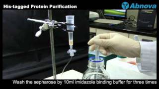 Histagged Protein Purification [upl. by Marko]